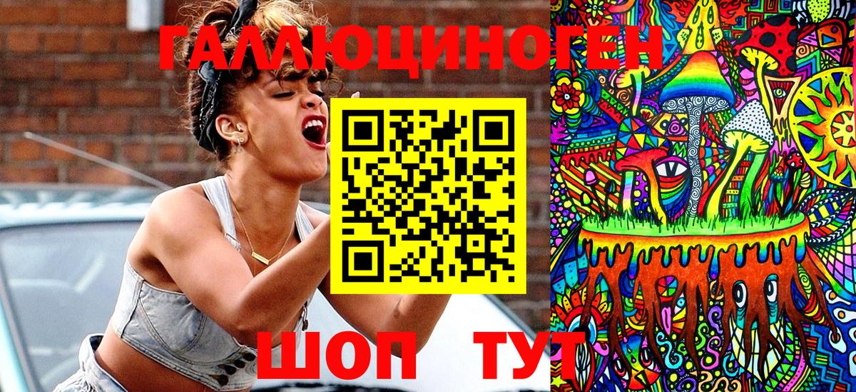 Псилоцибиновые грибы Psilocybe Протвино