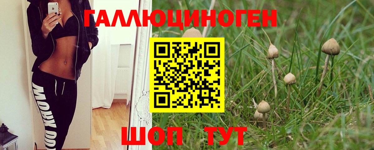 Протвино  Галлюциногенные грибы ЛСД  Галлюциногенные грибы Cubensis  Вход с VPN 